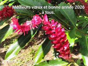 Vœux 2026